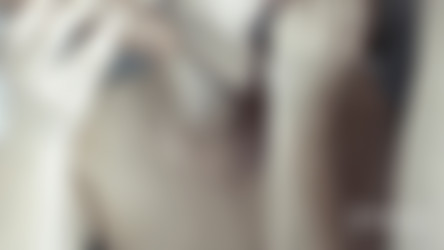 1920 x 1080 Pt.14/FMM Threesome with a Dildo. Girlfriend wants two Cocks. Creampie at the end_hotcouplelovelysex_1080p.mp4