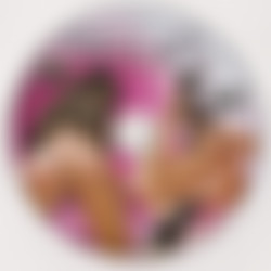 She Got Ass 8 [DVD9]/She Got Ass 8 - Disc_RAW.png