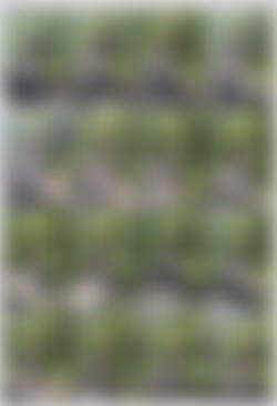 @arilaviee/Screens/5ecbd112d730f35d70759.jpg