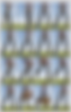 @arilaviee/Screens/5ecbf7e09933e2e49b281.jpg