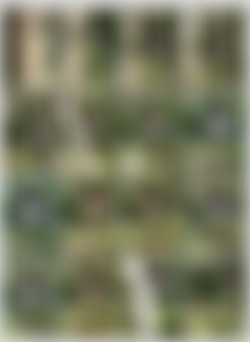 @arilaviee/Screens/5f30375f3b9ab6515b1dc.jpg