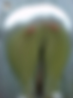 TightClothBigButts2/brd/018-4.jpg