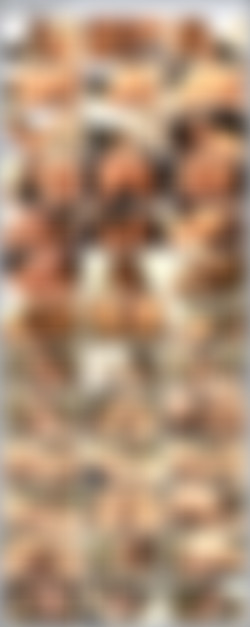 Fucked.On.Sight.6.DISC1+2.XXX.DVDRiP/CD-1/divxfactory-fos6d1_part2.avi.png
