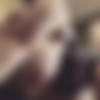 gwy_ther/Images
