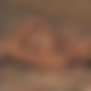 Stacy Moran thumbnail