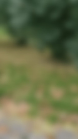 [Fansly.Com] PolaRainbow - SiteRip/Gifs/669989988934365184.gif